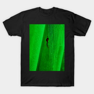 Black and red spider in its green web T-Shirt